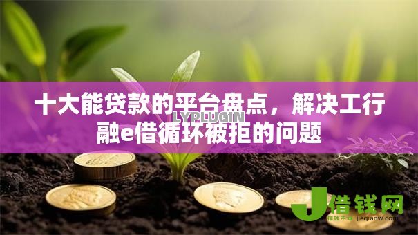 十大能贷款的平台盘点，解决工行融e借循环被拒的问题