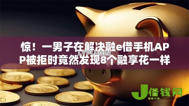 惊！一男子在解决融e借手机APP被拒时竟然发现8个融享花一样的平台，事后分享了出来