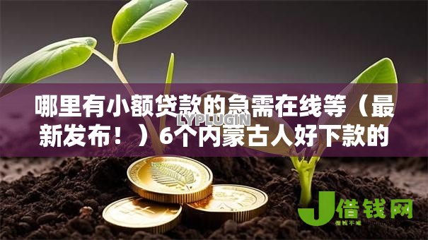 哪里有小额贷款的急需在线等(最新发布!)6个内蒙古人好下款的平台 哪里有小额贷款的急需在线等(最新发布!)6个内蒙古人好下款的平台