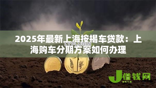 2025年最新上海按揭车贷款:上海购车分期方案如何办理 2025年最新上海按揭车贷款:上海购车分期方案如何办理