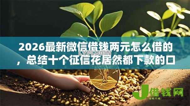 2026最新微信借钱两元怎么借的，总结十个征信花居然都下款的口子！