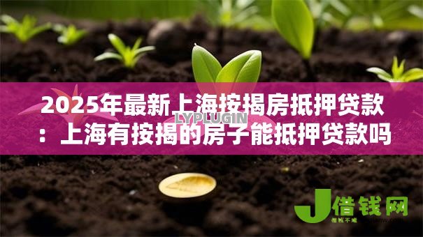 2025年最新上海按揭房抵押贷款:上海有按揭的房子能抵押贷款吗 2025年最新上海按揭房抵押贷款:上海有按揭的房子能抵押贷款吗