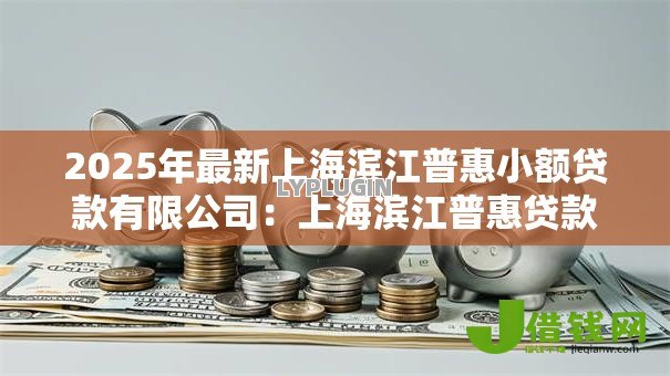 2025年最新上海滨江普惠小额贷款有限公司:上海滨江普惠贷款服务如何申请 2025年最新上海滨江普惠小额贷款有限公司:上海滨江普惠贷款服务如何申请