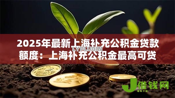 2025年最新上海补充公积金贷款额度：上海补充公积金最高可贷多少金额