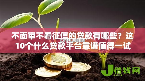 不面审不看征信的贷款有哪些？这10个什么贷款平台靠谱值得一试