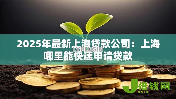 2025年最新上海贷款公司：上海哪里能快速申请贷款