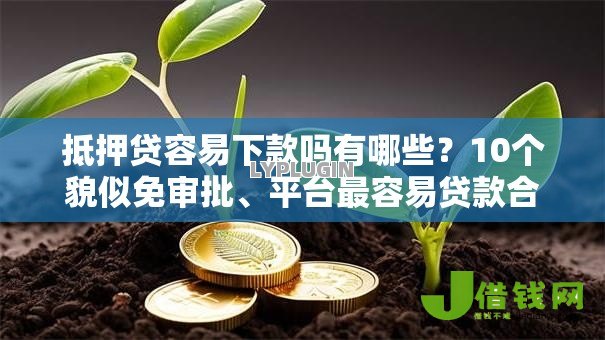 抵押贷容易下款吗有哪些？10个貌似免审批、平台最容易贷款合集