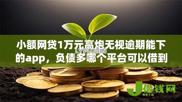小额网贷1万元高炮无视逾期能下的app，负债多哪个平台可以借到钱征信花的7个平台介绍