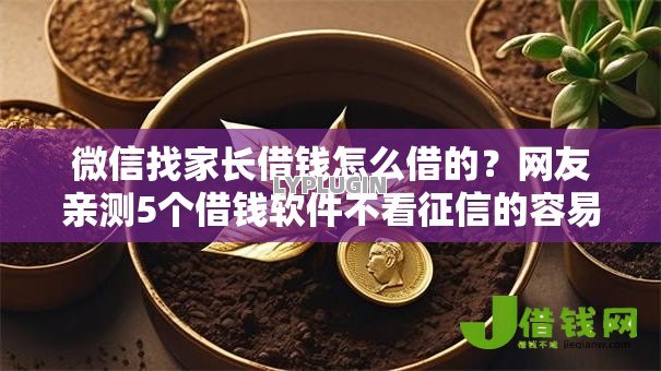 微信找家长借钱怎么借的?网友亲测5个借钱软件不看征信的容易下款的盘点 微信找家长借钱怎么借的?网友亲测5个借钱软件不看征信的容易下款的盘点