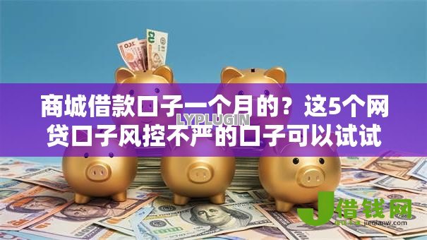 商城借款口子一个月的？这5个网贷口子风控不严的口子可以试试