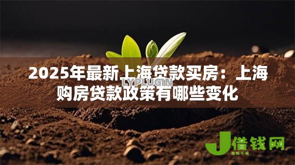 2025年最新上海贷款买房：上海购房贷款政策有哪些变化