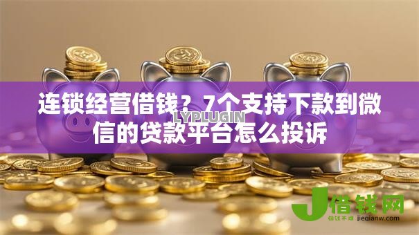 连锁经营借钱？7个支持下款到微信的贷款平台怎么投诉