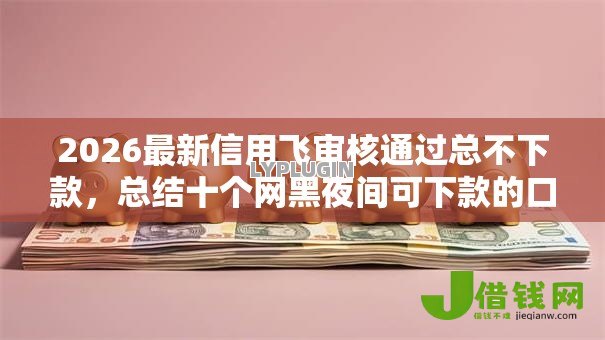 2026最新信用飞审核通过总不下款，总结十个网黑夜间可下款的口子！