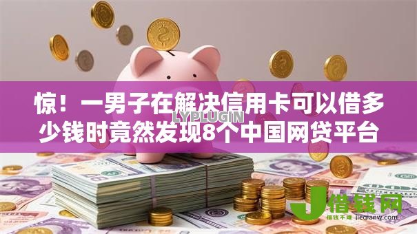 惊！一男子在解决信用卡可以借多少钱时竟然发现8个中国网贷平台排名不分先后，事后分享了出来