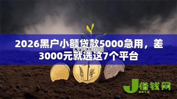 2026黑户小额贷款5000急用，差3000元就选这7个平台