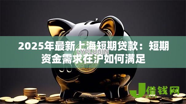 2025年最新上海短期贷款:短期资金需求在沪如何满足 2025年最新上海短期贷款:短期资金需求在沪如何满足