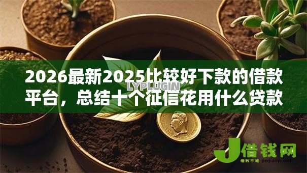 2026最新2025比较好下款的借款平台,总结十个征信花用什么贷款软件! 2026最新2025比较好下款的借款平台,总结十个征信花用什么贷款软件!