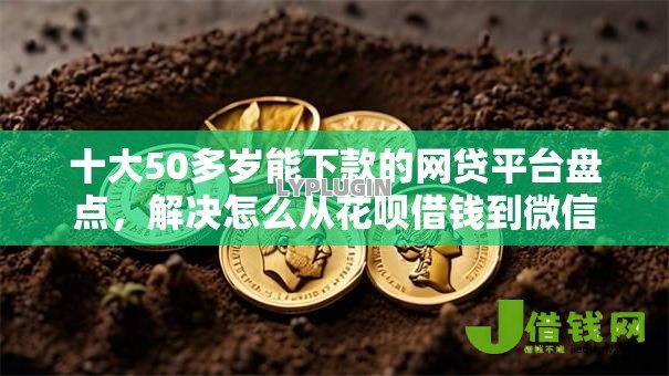 十大50多岁能下款的网贷平台盘点，解决怎么从花呗借钱到微信的问题