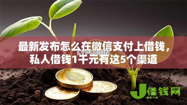 最新发布怎么在微信支付上借钱，私人借钱1千元有这5个渠道