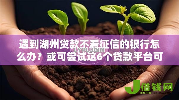 遇到湖州贷款不看征信的银行怎么办？或可尝试这6个贷款平台可靠的