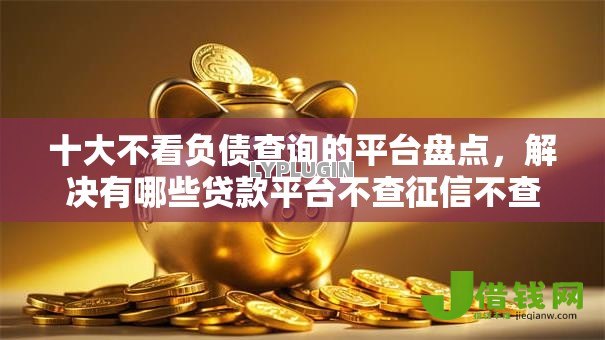 十大不看负债查询的平台盘点，解决有哪些贷款平台不查征信不查负债的的问题