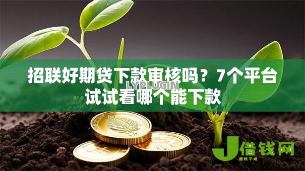 招联好期贷下款审核吗？7个平台试试看哪个能下款