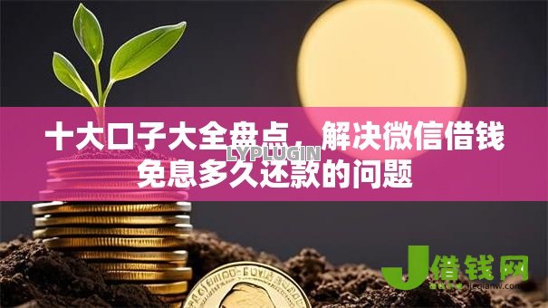 十大口子大全盘点，解决微信借钱免息多久还款的问题