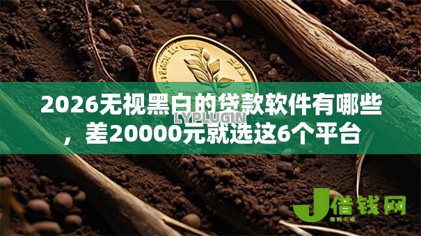2026无视黑白的贷款软件有哪些，差20000元就选这6个平台