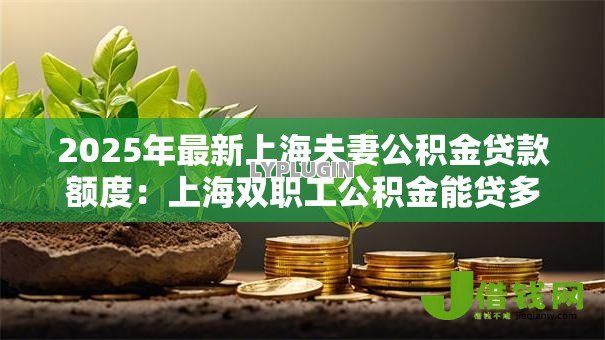 2025年最新上海夫妻公积金贷款额度:上海双职工公积金能贷多少 2025年最新上海夫妻公积金贷款额度:上海双职工公积金能贷多少