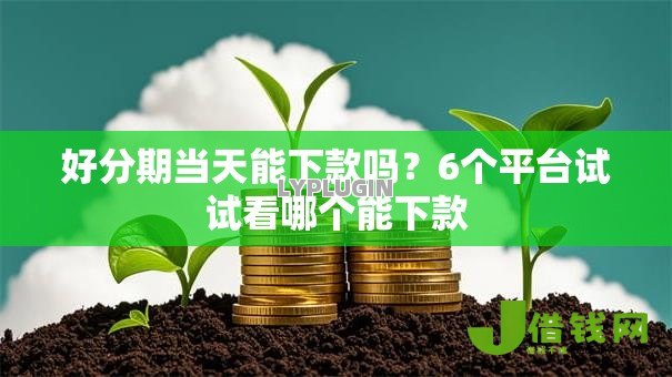 好分期当天能下款吗？6个平台试试看哪个能下款