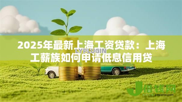 2025年最新上海工资贷款：上海工薪族如何申请低息信用贷