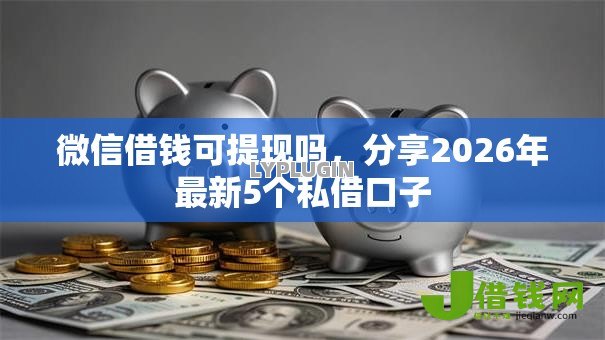 微信借钱可提现吗，分享2026年最新5个私借口子