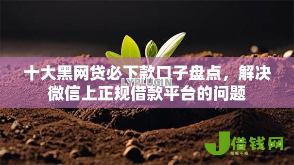 十大黑网贷必下款口子盘点，解决微信上正规借款平台的问题