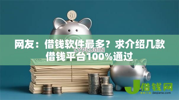 网友：借钱软件最多？求介绍几款借钱平台100%通过