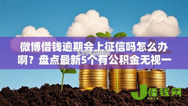 微博借钱逾期会上征信吗怎么办啊?盘点最新5个有公积金无视一切的口子 微博借钱逾期会上征信吗怎么办啊?盘点最新5个有公积金无视一切的口子