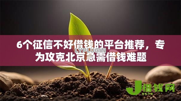 6个征信不好借钱的平台推荐,专为攻克北京急需借钱难题 6个征信不好借钱的平台推荐,专为攻克北京急需借钱难题