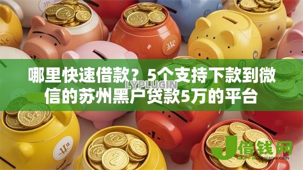 哪里快速借款？5个支持下款到微信的苏州黑户贷款5万的平台