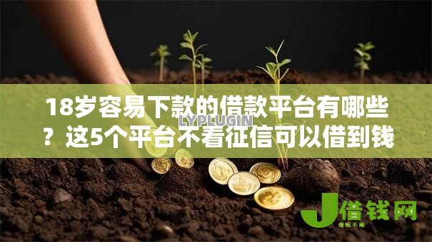 18岁容易下款的借款平台有哪些?这5个平台不看征信可以借到钱可以试试 18岁容易下款的借款平台有哪些?这5个平台不看征信可以借到钱可以试试