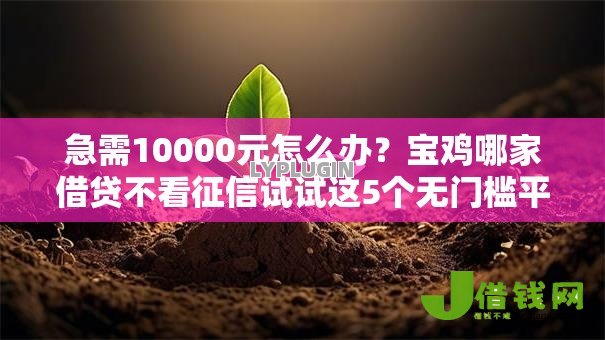 急需10000元怎么办?宝鸡哪家借贷不看征信试试这5个无门槛平台 急需10000元怎么办?宝鸡哪家借贷不看征信试试这5个无门槛平台