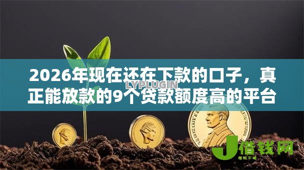 2026年现在还在下款的口子，真正能放款的9个贷款额度高的平台推荐