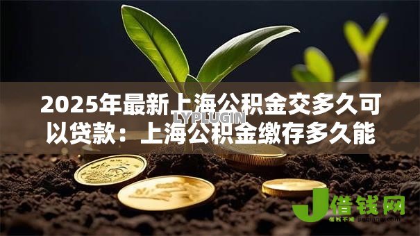 2025年最新上海公积金交多久可以贷款:上海公积金缴存多久能申请贷款 2025年最新上海公积金交多久可以贷款:上海公积金缴存多久能申请贷款