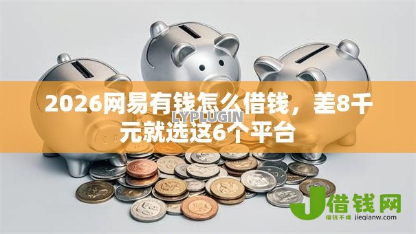 2026网易有钱怎么借钱,差8千元就选这6个平台 2026网易有钱怎么借钱,差8千元就选这6个平台