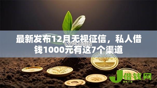 最新发布12月无视征信，私人借钱1000元有这7个渠道