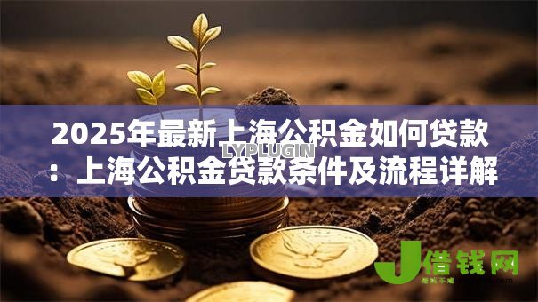 2025年最新上海公积金如何贷款:上海公积金贷款条件及流程详解 2025年最新上海公积金如何贷款:上海公积金贷款条件及流程详解