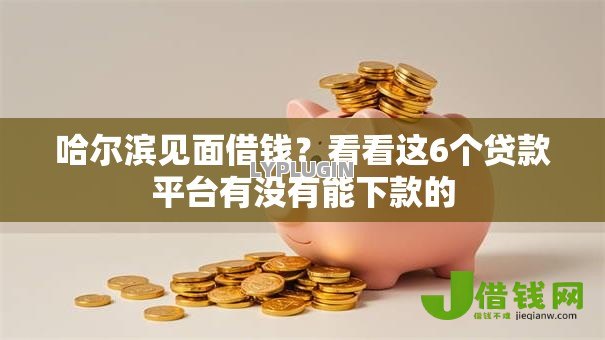 哈尔滨见面借钱？看看这6个贷款平台有没有能下款的