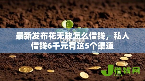 最新发布花无缺怎么借钱,私人借钱6千元有这5个渠道 最新发布花无缺怎么借钱,私人借钱6千元有这5个渠道
