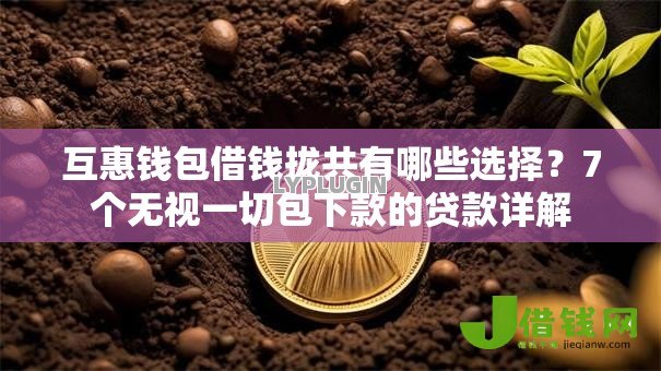 互惠钱包借钱拢共有哪些选择？7个无视一切包下款的贷款详解