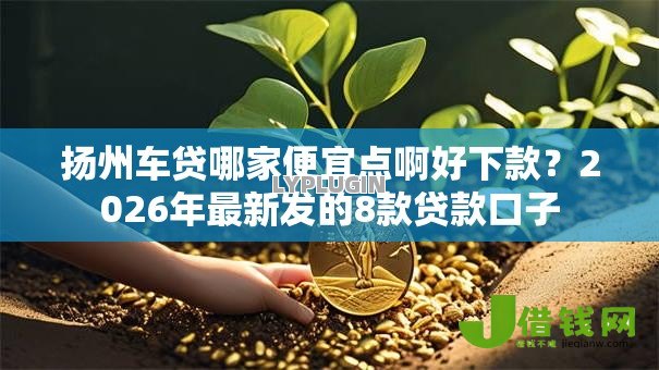 扬州车贷哪家便宜点啊好下款？2026年最新发的8款贷款口子