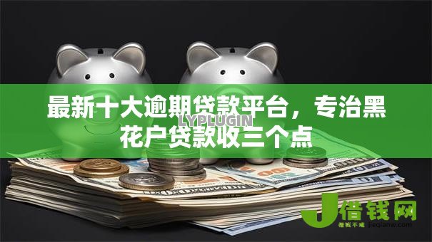 最新十大逾期贷款平台,专治黑花户贷款收三个点 最新十大逾期贷款平台,专治黑花户贷款收三个点