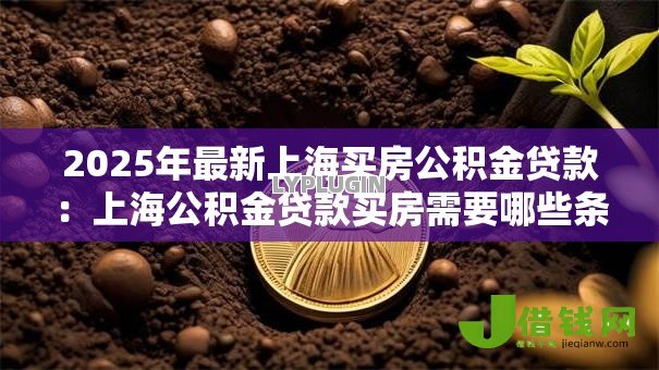 2025年最新上海买房公积金贷款：上海公积金贷款买房需要哪些条件